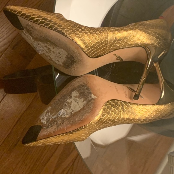 Gold Snake - Picture 12 of 12